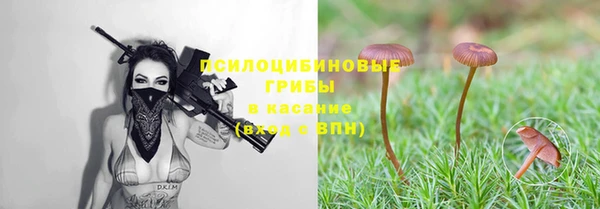 мяу мяу мука Алексин