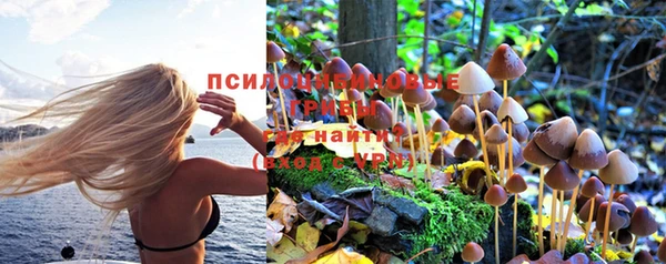мяу мяу мука Алексин