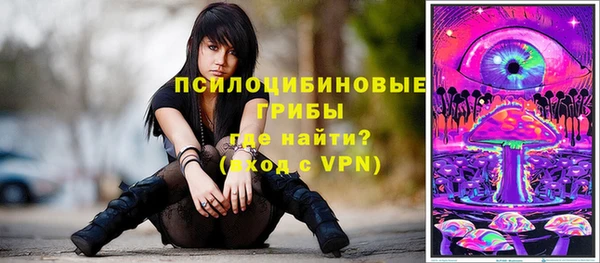 дурь Покачи