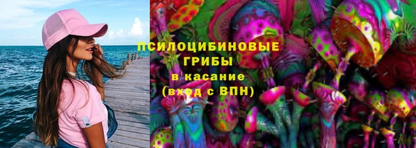 спиды Алексеевка