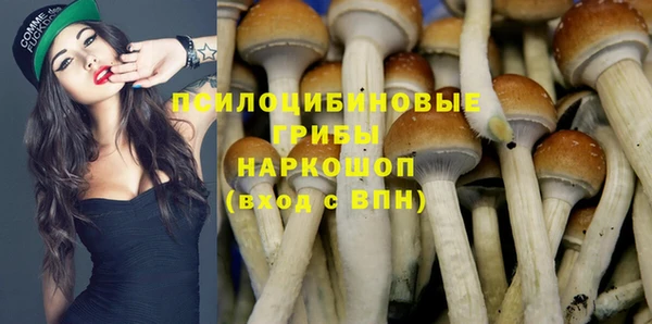 сатива Абинск