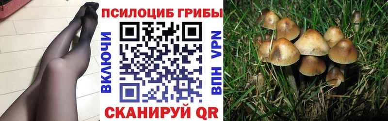 хочу   Николаевск-на-Амуре  Псилоцибиновые грибы ЛСД 